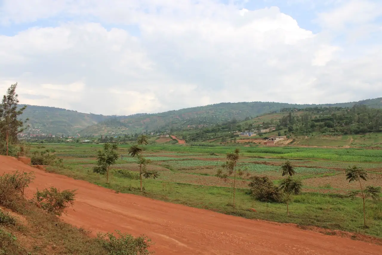 Picturesque view of lush green fields and rolling hills in Kigali, Rwanda.